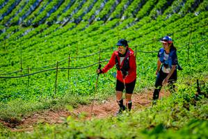 BIB: 
                            <button type="button" onclick="openModal(19163589)" class="btn btn-primary btn-sm float-right btn-popup" data-toggle="modal" data-target=".modal-high-quality">
                        <i class="fas fa-shopping-cart"></i> Add to Cart
                    </button>
                                            <button type="button" onclick="isThisMe(19163589, true)" class="btn btn-success btn-sm float-right btn-popup btn-isme hidden" data-toggle="tooltip" data-placement="bottom" title="นี่คือรูปของคุณใช่ไหม คลิกที่นี่เพื่อเอาเข้าอัลบั้ม">
                        <i class="fas fa-plus"></i> Add to album
                    </button>
                    <button type="button" onclick="isThisMe(19163589, false)" class="btn btn-warning btn-sm float-right btn-popup btn-isnotme hidden">
                        <i class="fas fa-ban"></i> Remove from album
                    </button>